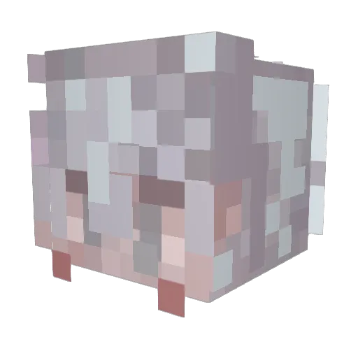 BelWhite Minecraft avatar head, 3D render