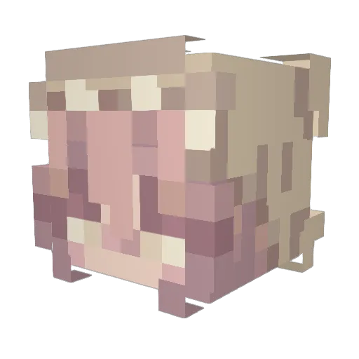 BelaRoblox Minecraft avatar head, 3D render