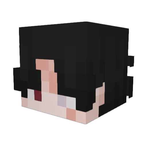 BelatedBee Minecraft avatar head, 3D render