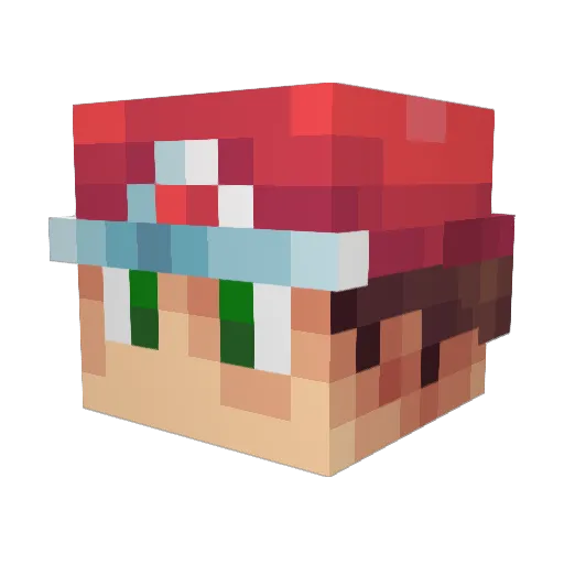 BelgianWaffles98 Minecraft avatar head, 3D render