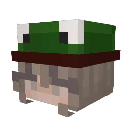 Belinor237 Minecraft avatar head, 3D render