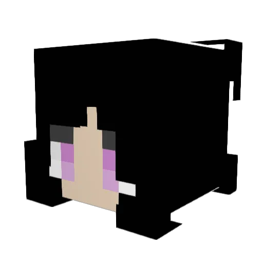 Bell671 Minecraft avatar head, 3D render