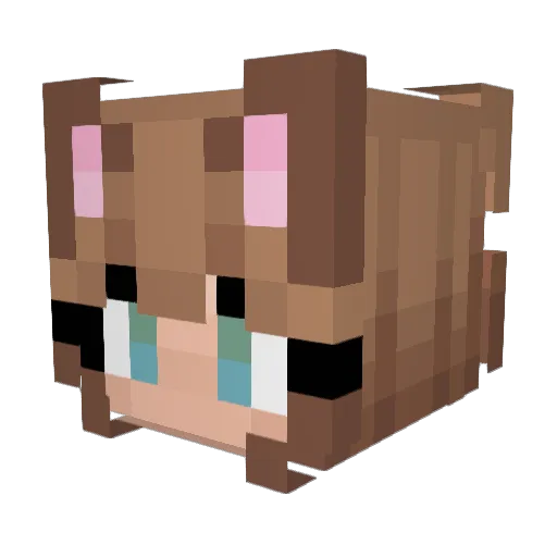 Bella0981 Minecraft avatar head, 3D render