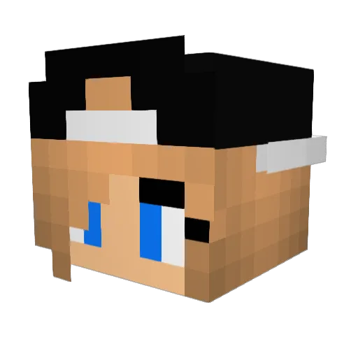 Bella524 Minecraft avatar head, 3D render