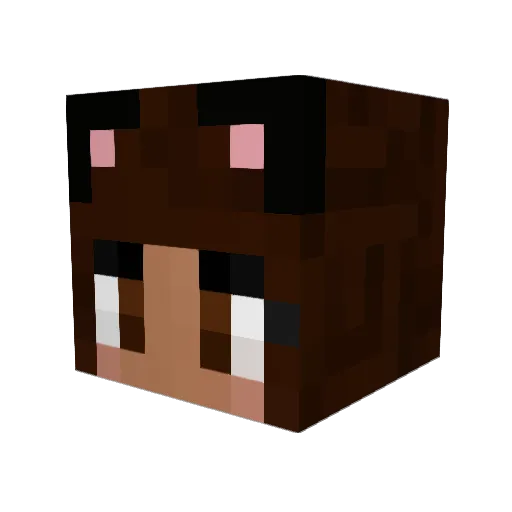 BellaBR Minecraft avatar head, 3D render