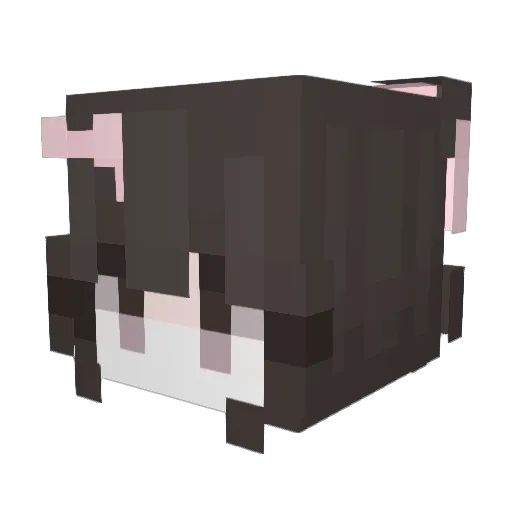 BellaBunnyXx Minecraft avatar head, 3D render
