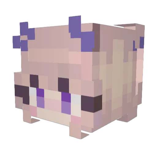 BellaBuns Minecraft avatar head, 3D render