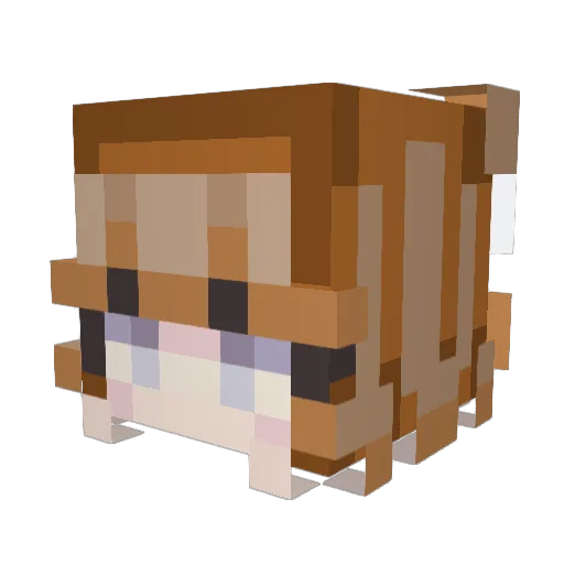 BellaHale Minecraft avatar head, 3D render