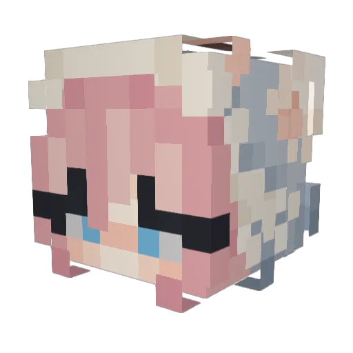 BellaSwam Minecraft avatar head, 3D render