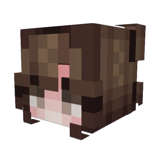 BellaSwan10 Minecraft avatar head, 3D render