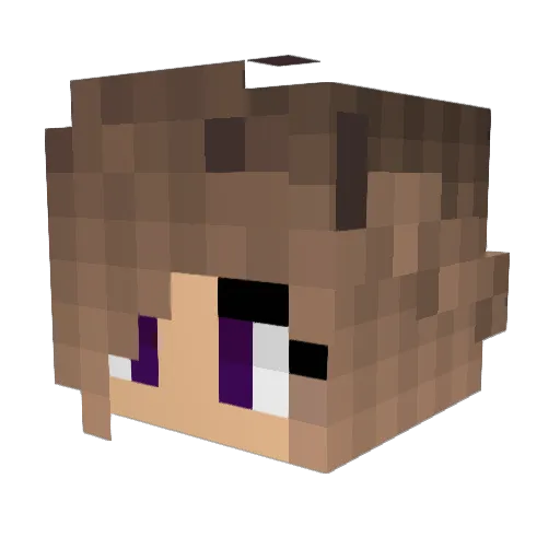 BellaTashi Minecraft avatar head, 3D render