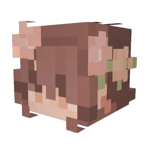 BellaWitch75 Minecraft avatar head, 3D render