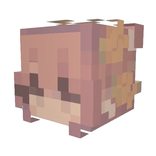 Bella_Donna_ Minecraft avatar head, 3D render