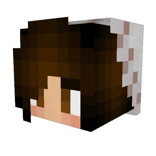 Bella_is_Amazing Minecraft avatar head, 3D render