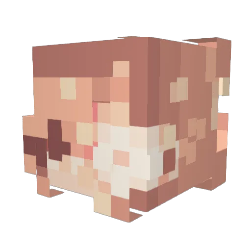 Bella_u Minecraft avatar head, 3D render