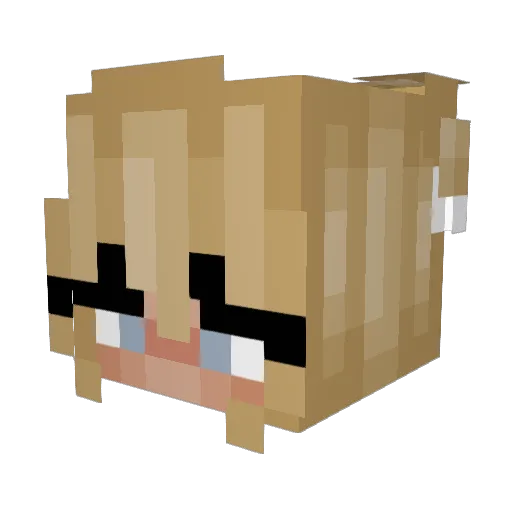 Bellaboo1222 Minecraft avatar head, 3D render