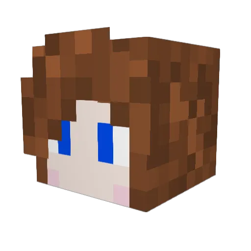 Bellaen Minecraft avatar head, 3D render