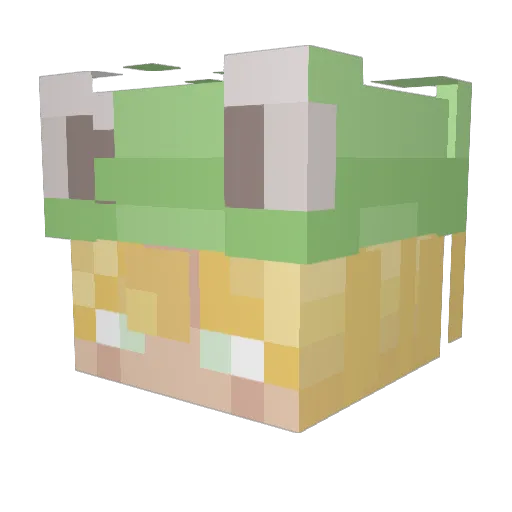Bellafarida Minecraft avatar head, 3D render