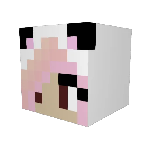 Bellapeace27 Minecraft avatar head, 3D render