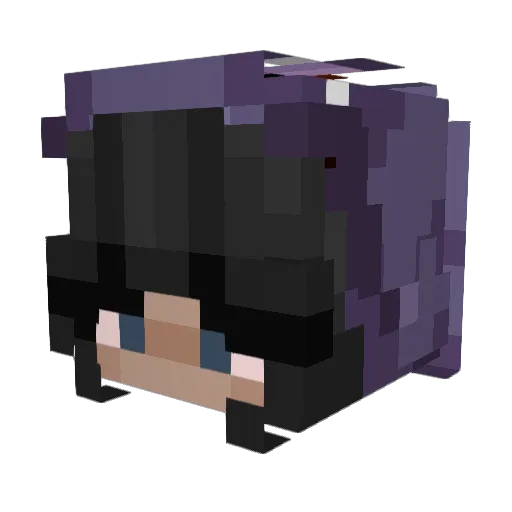 Bellarr Minecraft avatar head, 3D render