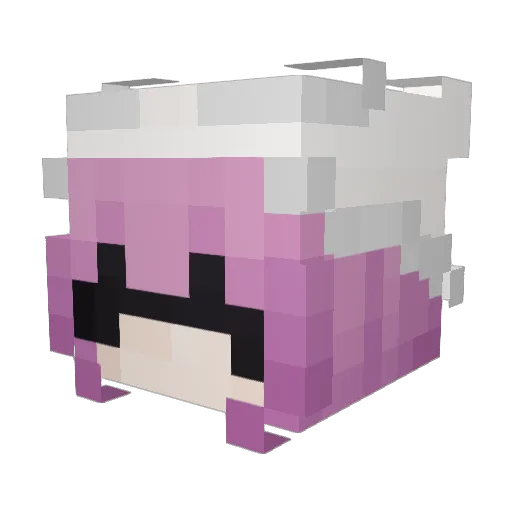 Bellaur Minecraft avatar head, 3D render