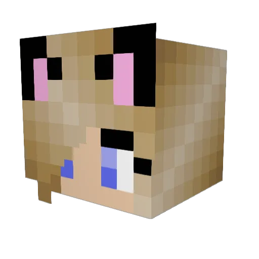 Bellax124 Minecraft avatar head, 3D render