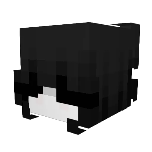 Belle0721 Minecraft avatar head, 3D render