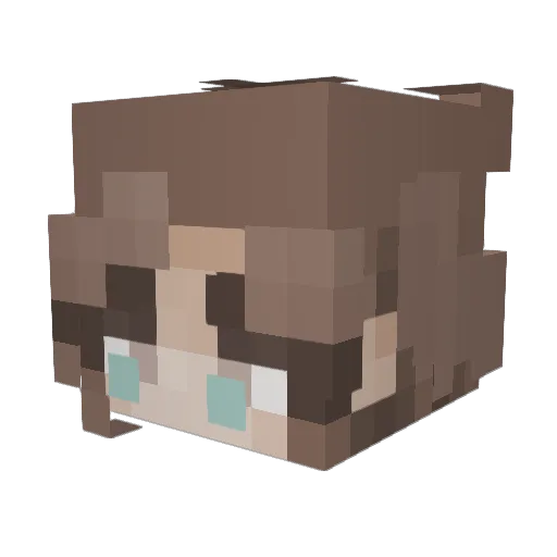 Belle3263 Minecraft avatar head, 3D render