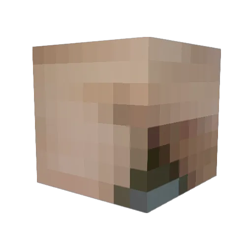 BelleSki833 Minecraft avatar head, 3D render