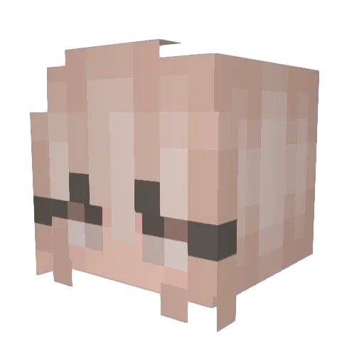 Bellfire4866 Minecraft avatar head, 3D render
