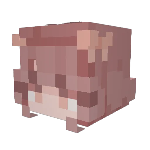 Bellhop92 Minecraft avatar head, 3D render