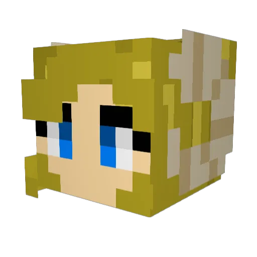 Bellota2021 Minecraft avatar head, 3D render