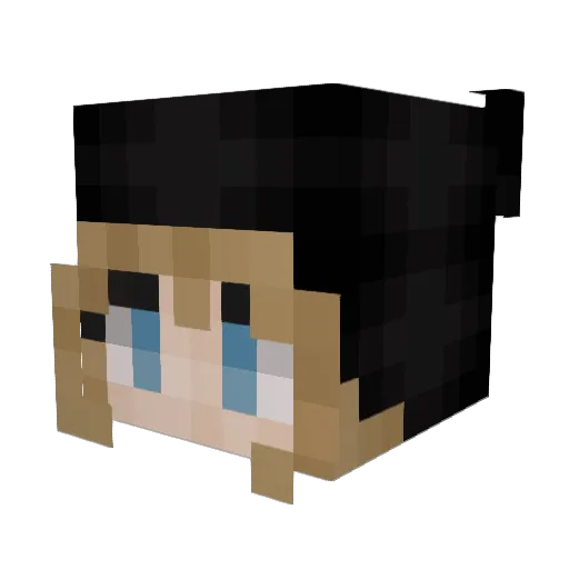 Bells0110 Minecraft avatar head, 3D render
