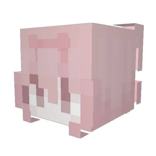BellyBallot Minecraft avatar head, 3D render