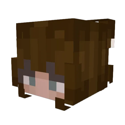 BellyTheLlama Minecraft avatar head, 3D render