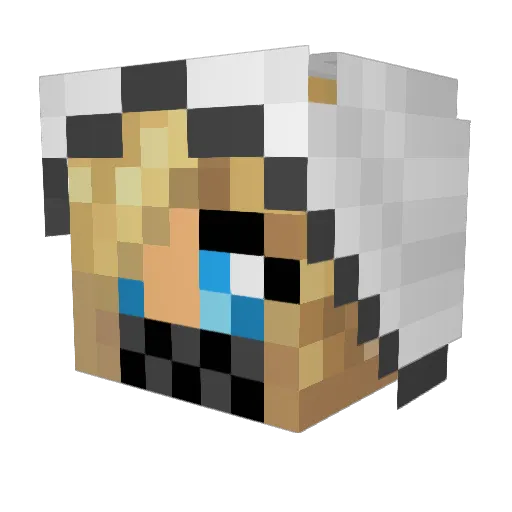 Bellyar Minecraft avatar head, 3D render