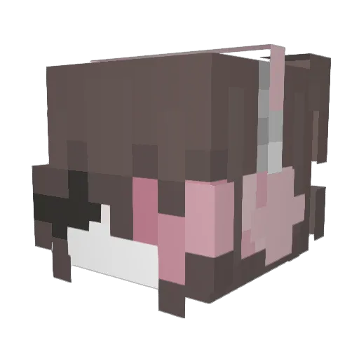 Bellz400 Minecraft avatar head, 3D render
