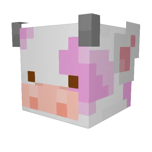 BelovedBingus Minecraft avatar head, 3D render
