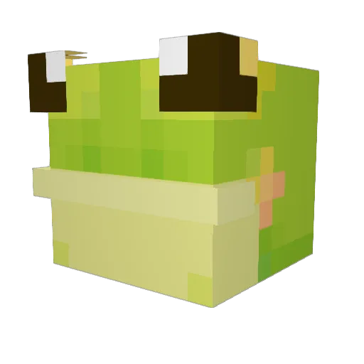 BelugaNog Minecraft avatar head, 3D render