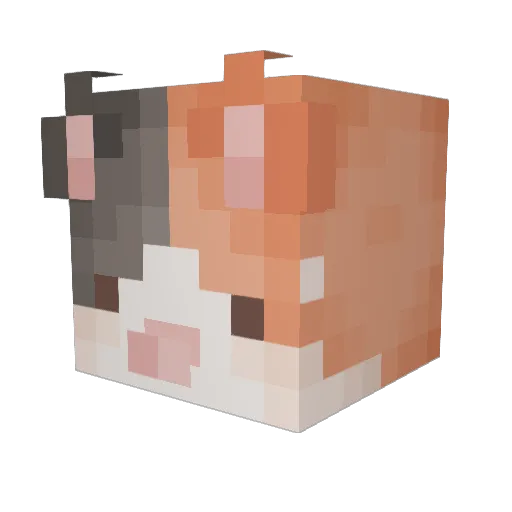 BelugaPT Minecraft avatar head, 3D render