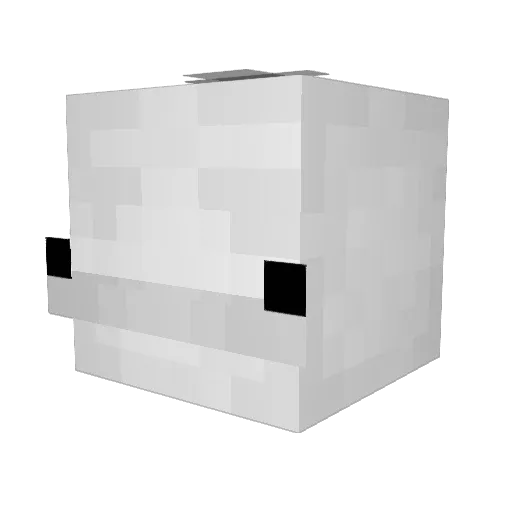 Beluga_Best345 Minecraft avatar head, 3D render