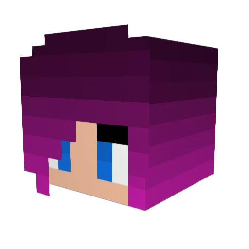Belugui Minecraft avatar head, 3D render