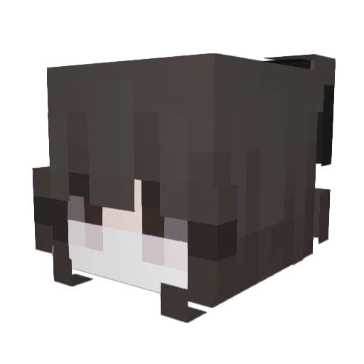 Belzadas Minecraft avatar head, 3D render
