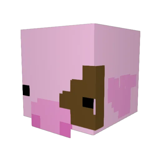 Bem0t Minecraft avatar head, 3D render