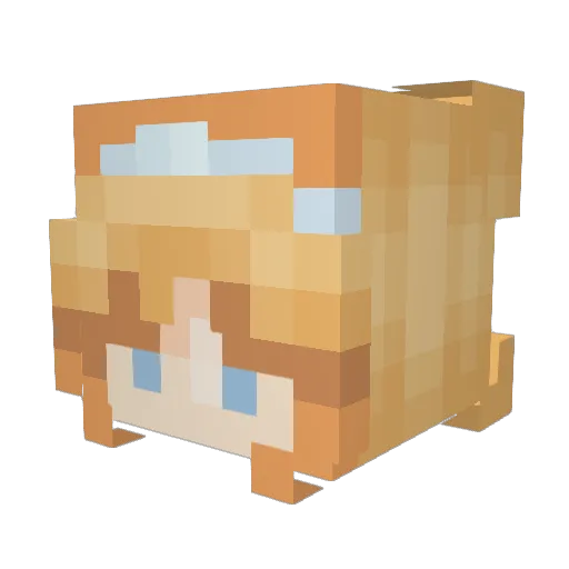 Bemy_Star Minecraft avatar head, 3D render
