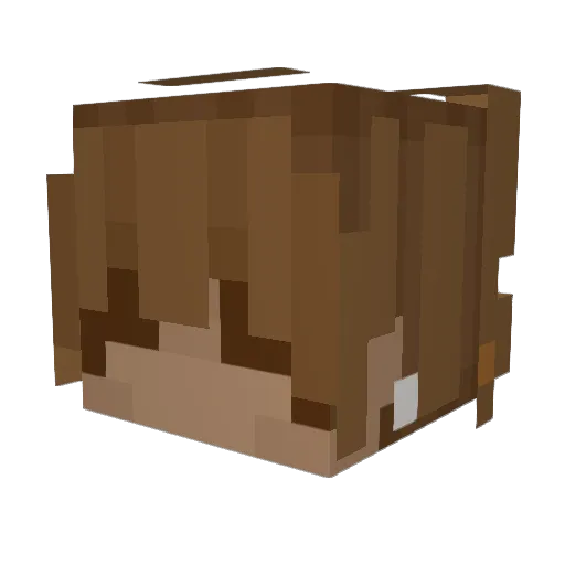Bemzah Minecraft avatar head, 3D render