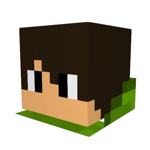 Ben54312 Minecraft avatar head, 3D render