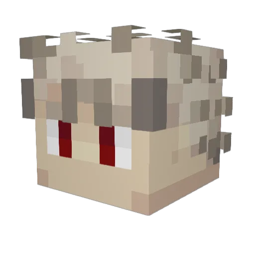 Ben901 Minecraft avatar head, 3D render