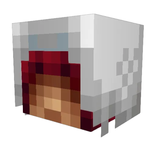 Ben9991 Minecraft avatar head, 3D render