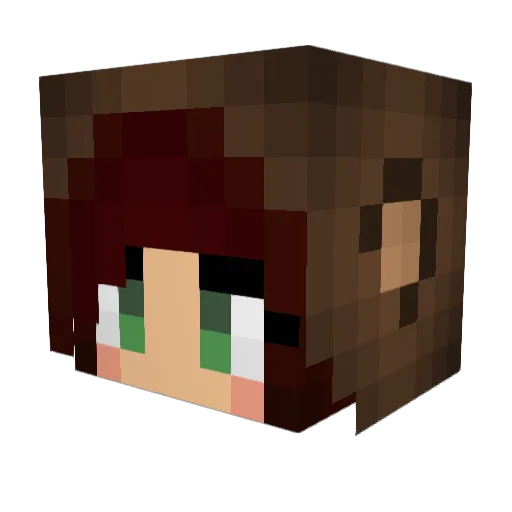 BenBen870 Minecraft avatar head, 3D render